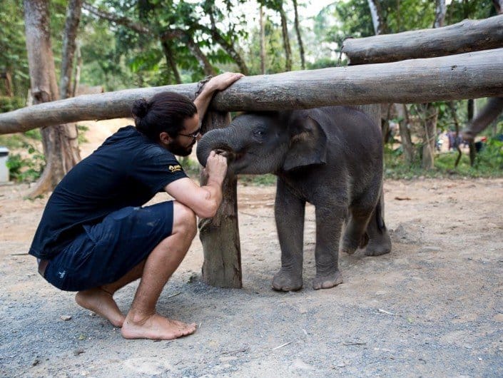 Ethical elephant interaction
