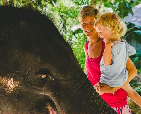 Family with Elephant