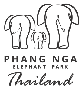 Phang Nga Elephant Park